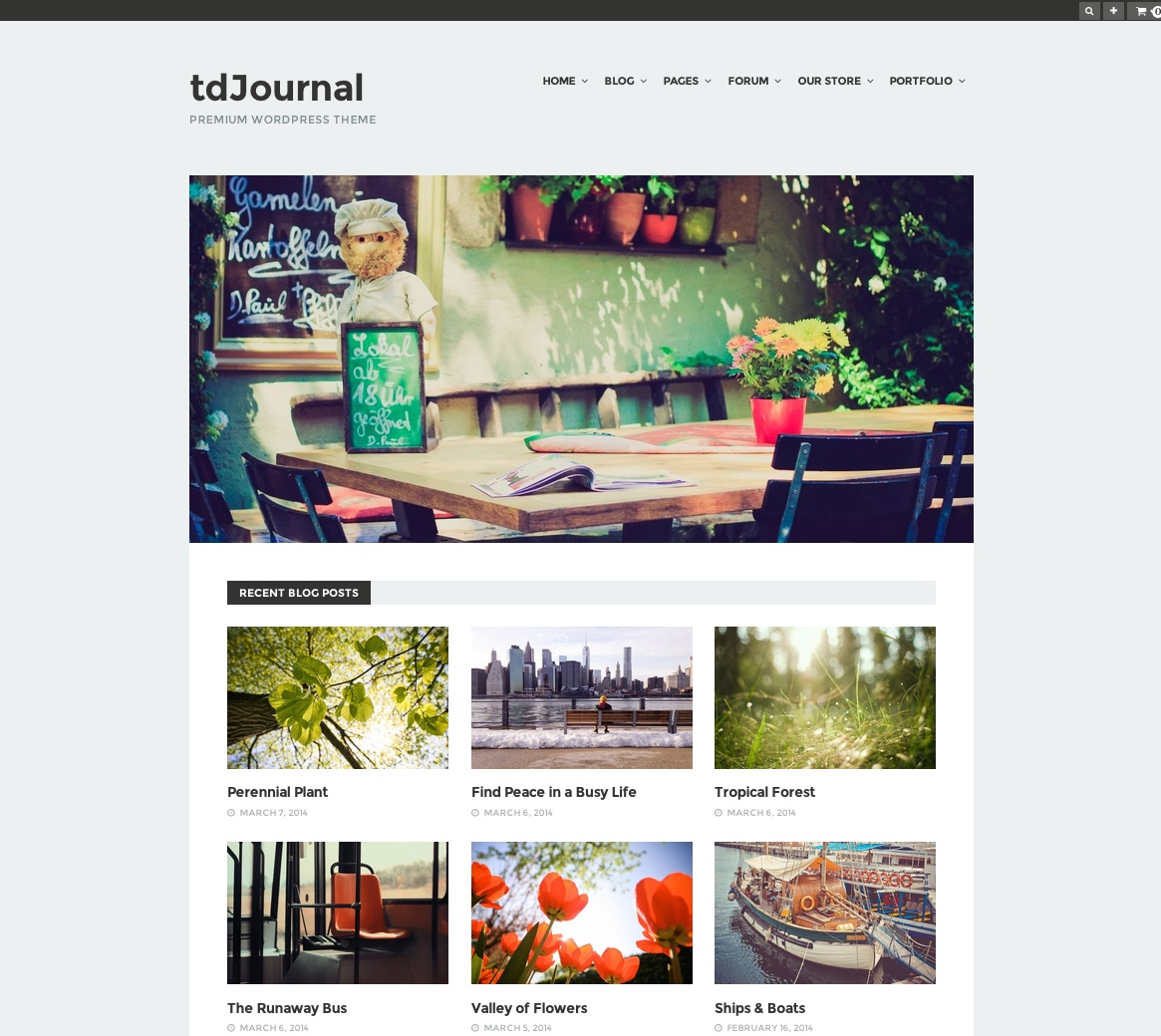 tdjournal_screenshot